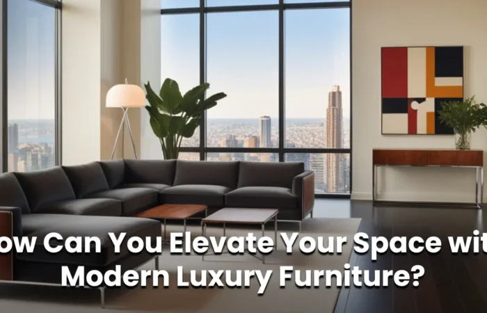 Modern Luxury Furniture