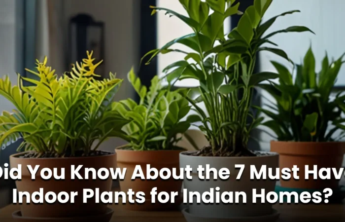 Indoor Plants for Indian Homes